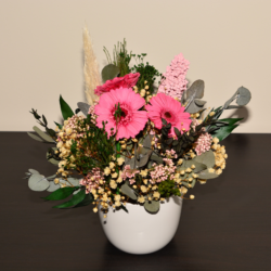 gerbera pott 1